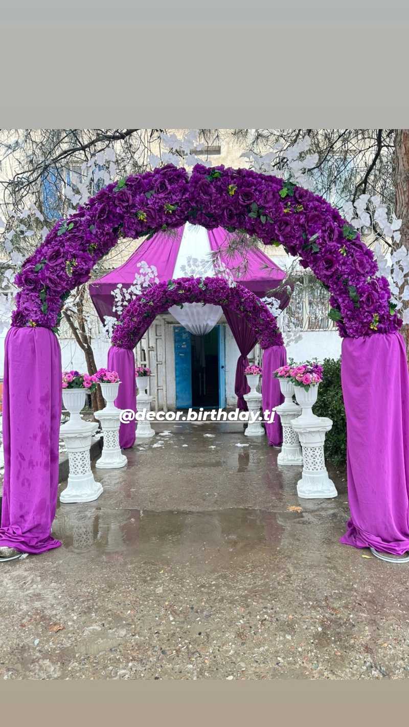 Дик фотосын түрту